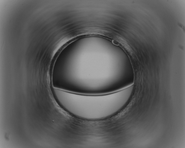 X0000092000936200709061237