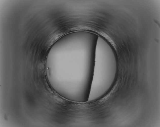 X0000092000937200709061237