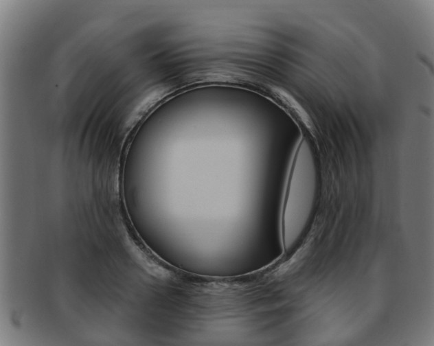 X0000092000938200709061237