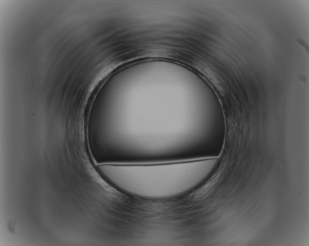 X0000092000939200709061237