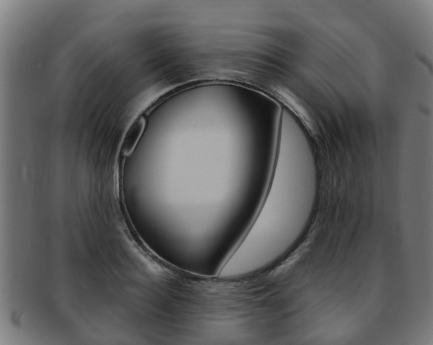 X0000092000940200709061237