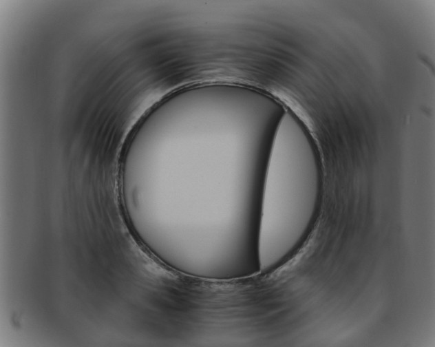 X0000092000941200709061237