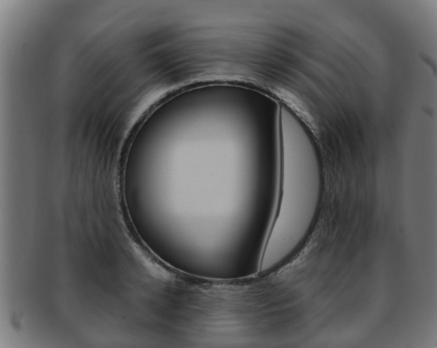 X0000092000942200709061237