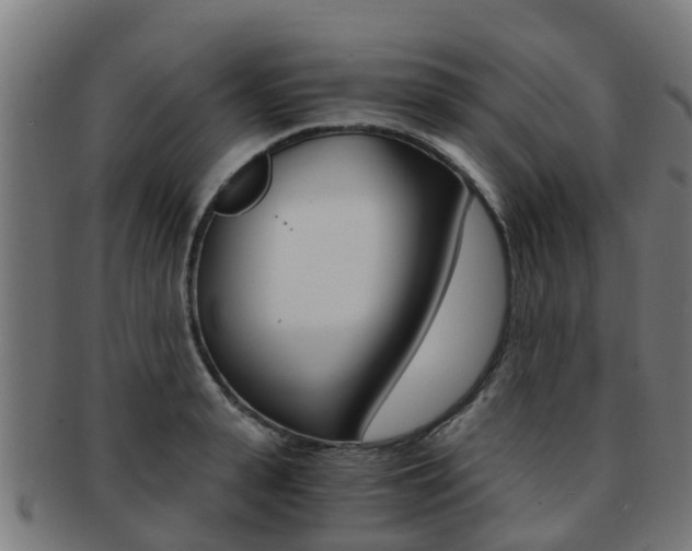 X0000092000943200709061237
