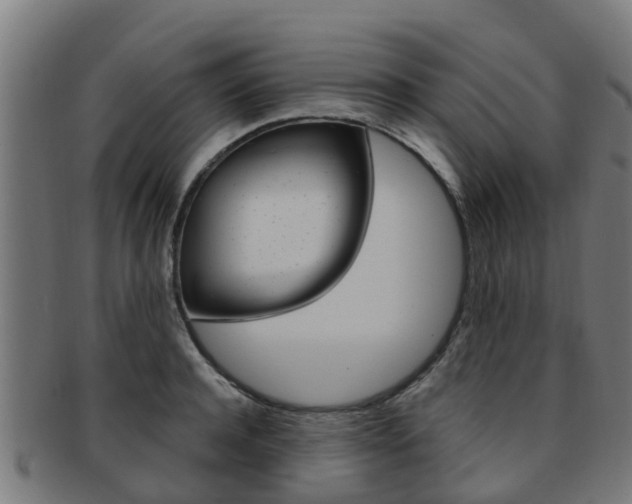 X0000092000944200709061237