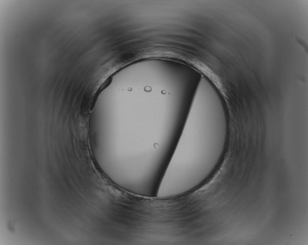 X0000092000945200709061237