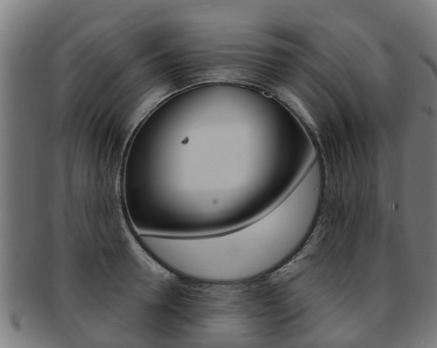 X0000092000946200709061237