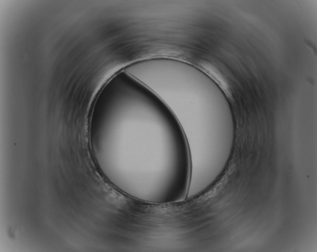 X0000092000948200709061237