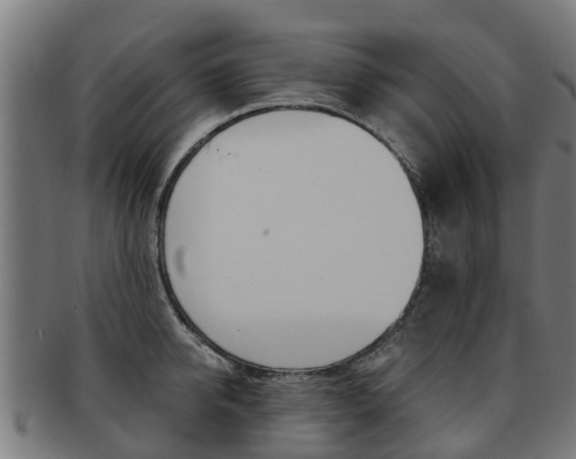 X0000092000950200709061237