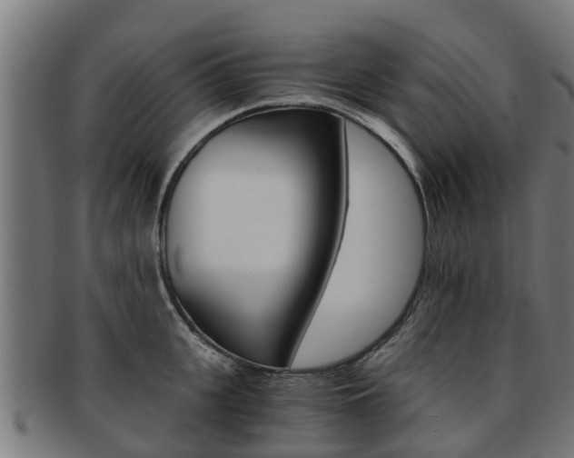 X0000092000951200709061238