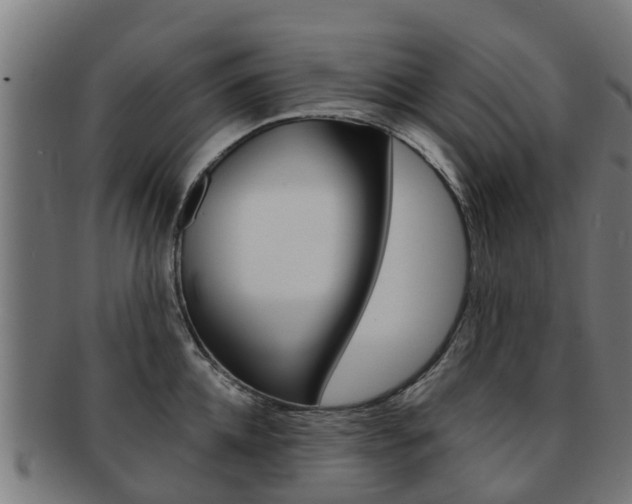 X0000092000952200709061238