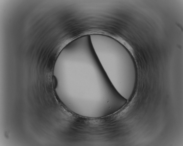 X0000092000953200709061238
