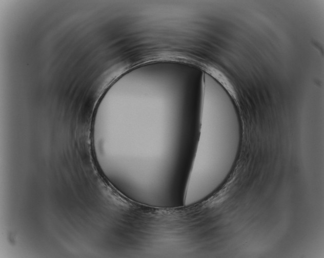 X0000092000954200709061238