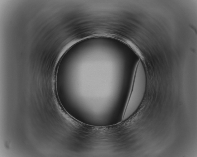 X0000092000955200709061238
