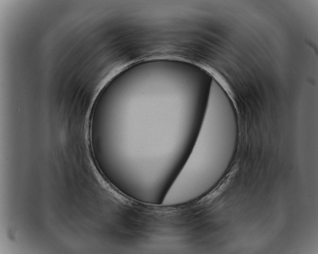 X0000092000957200709061238