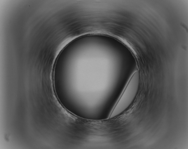 X0000092000959200709061238