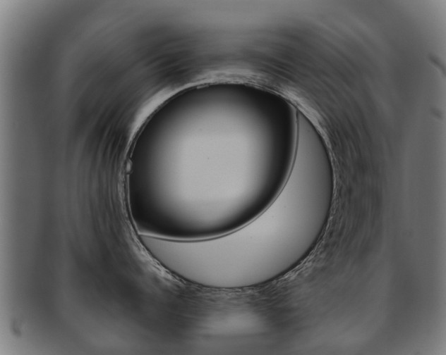 X0000092000960200709061238