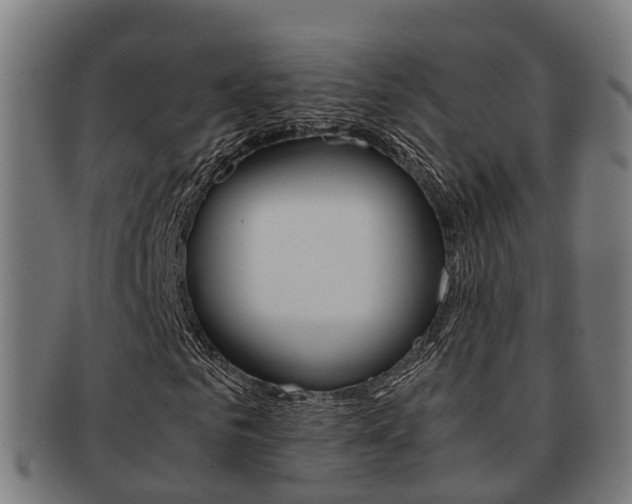 X0000092000961200709061237