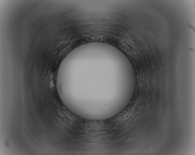 X0000092000962200709061237