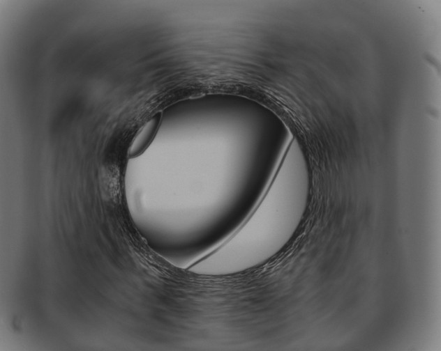 X0000092000963200709061237