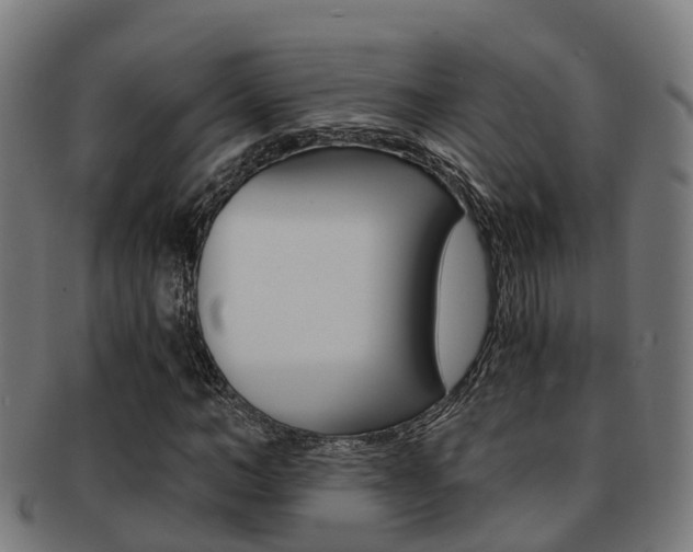 X0000092000966200709061237