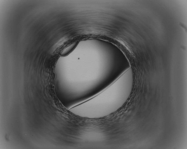 X0000092000967200709061237