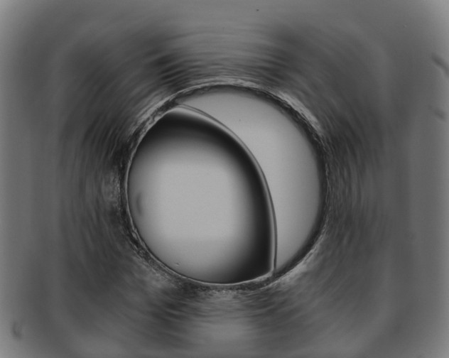 X0000092000969200709061237