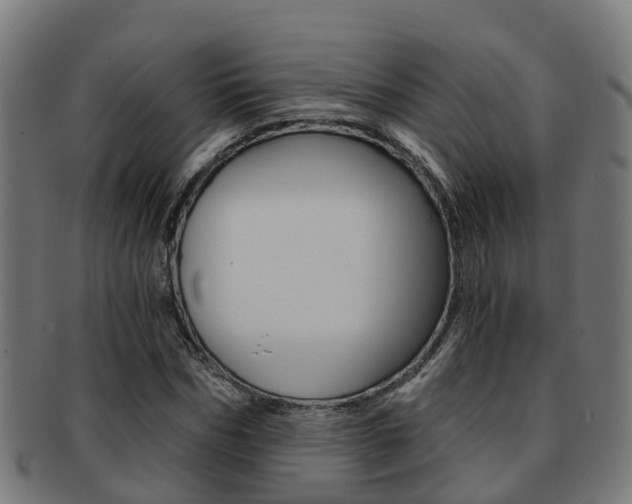 X0000092000970200709061237