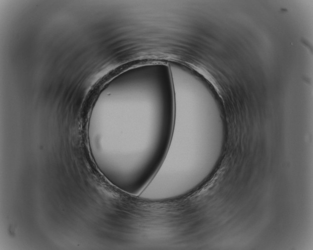 X0000092000971200709061237