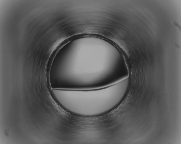 X0000092000972200709061237