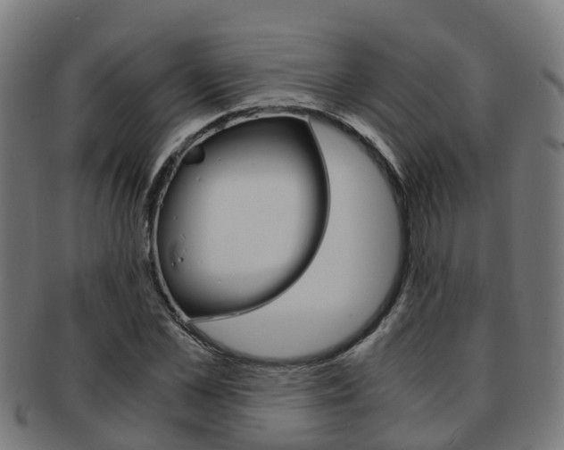 X0000092000973200709061237