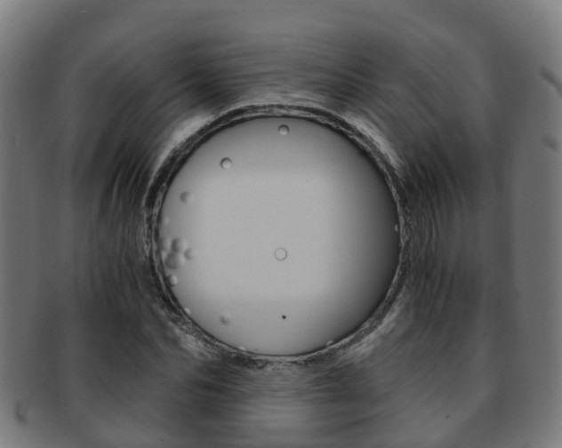 X0000092000974200709061237