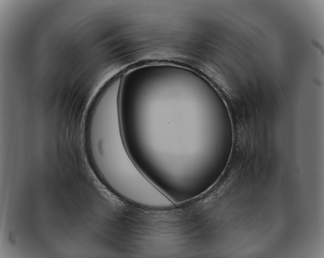 X0000092000976200709061237