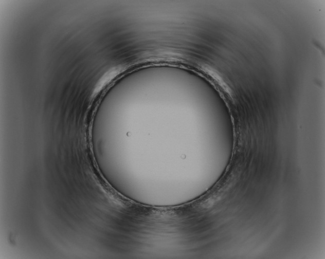 X0000092000978200709061237