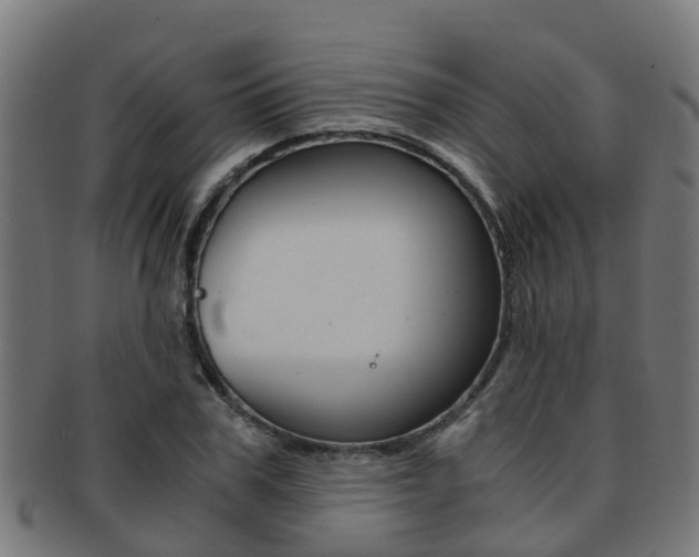 X0000092000979200709061237