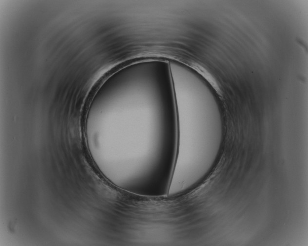 X0000092000980200709061237
