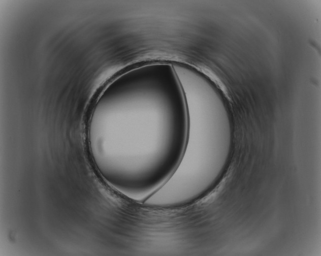 X0000092000981200709061237