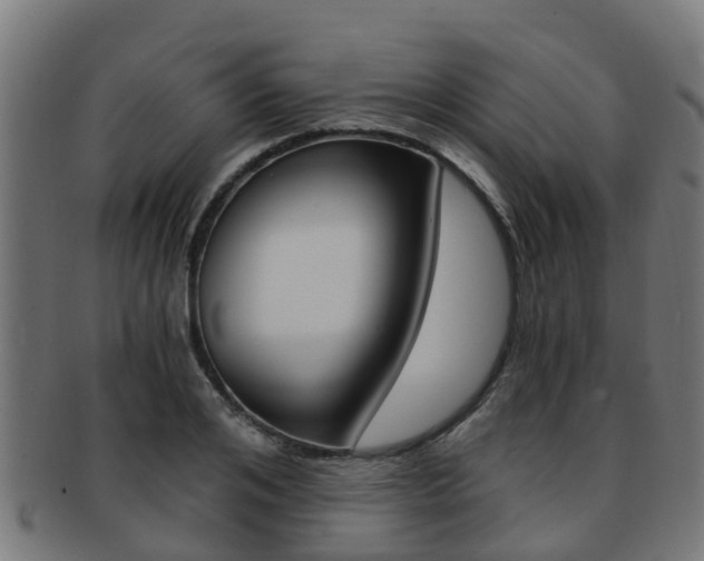 X0000092000984200709061237