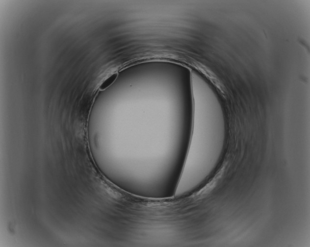 X0000092000985200709061237