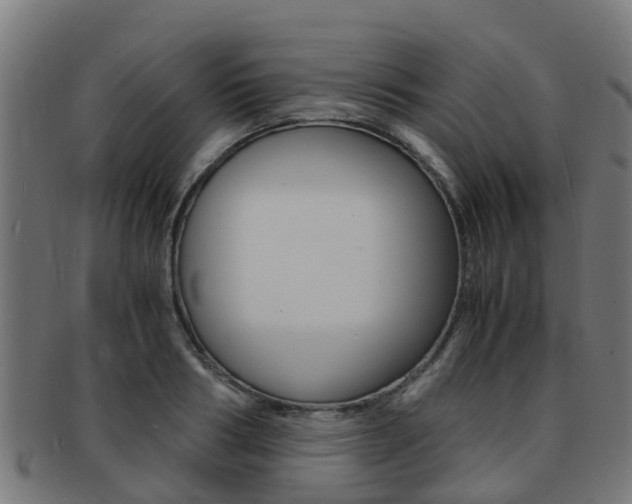 X0000092000986200709061237
