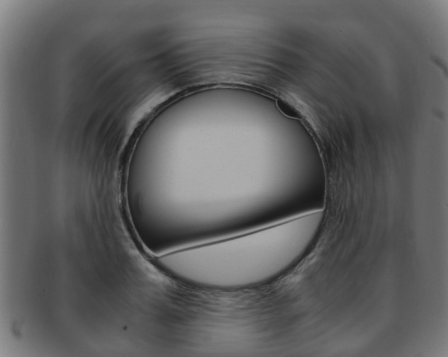 X0000092000987200709061237