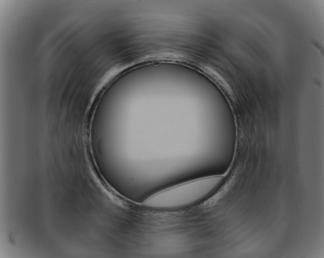 X0000092000989200709061237