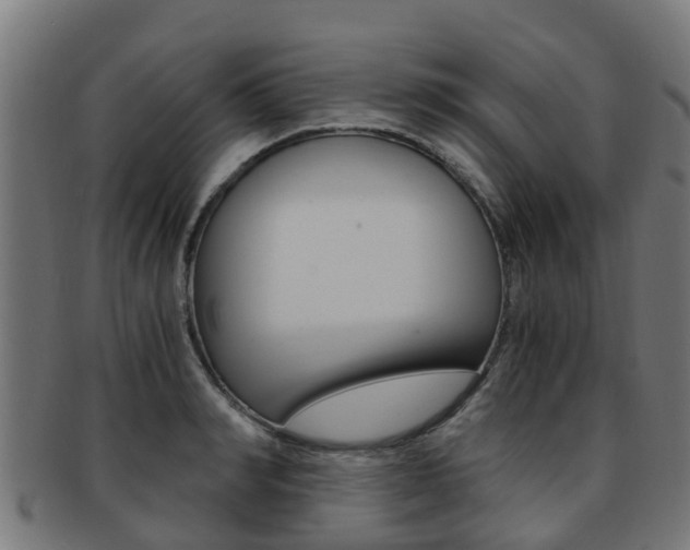 X0000092000990200709061237