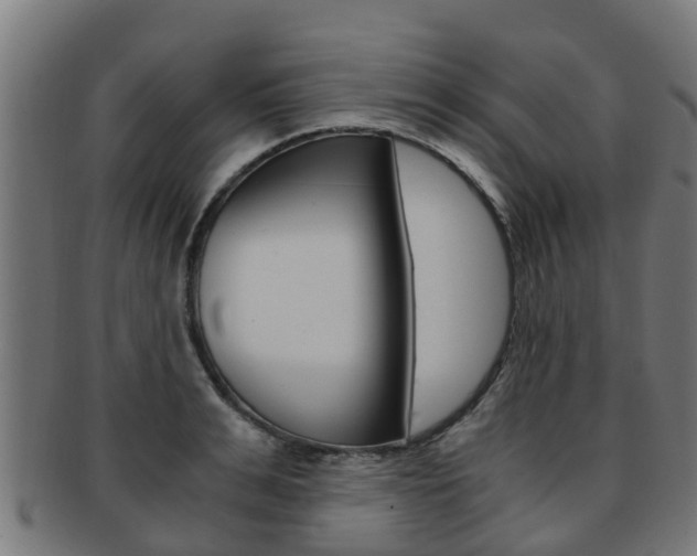 X0000092000991200709061237