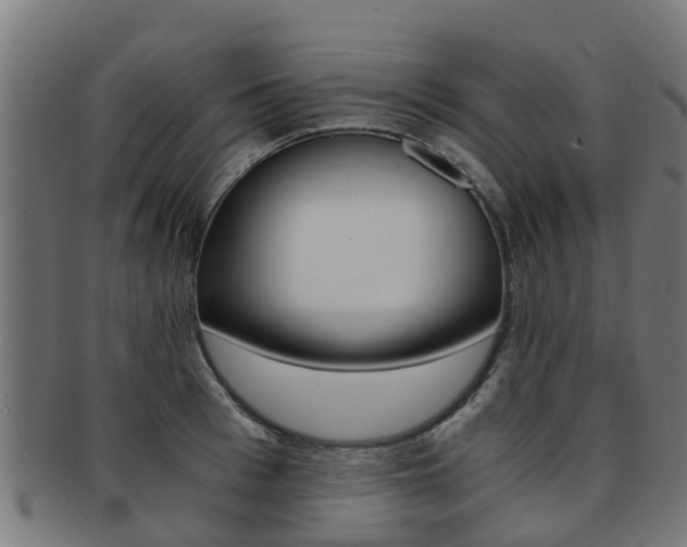 X0000092000993200709061237