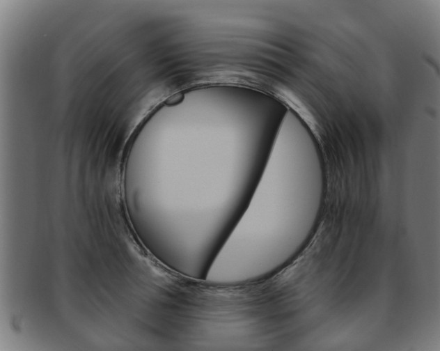 X0000092000994200709061236