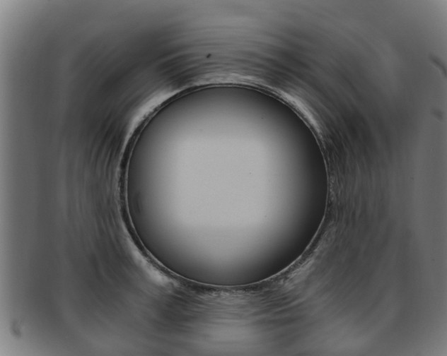 X0000092000995200709061236