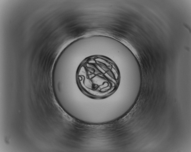X0000092000996200709061236