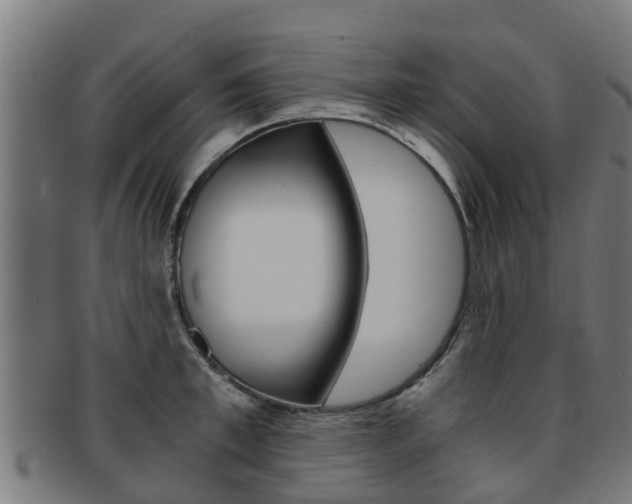 X0000092000997200709061236