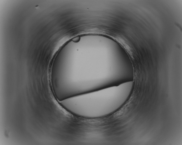 X0000092000998200709061236